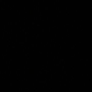 Meet your Posher, Joan